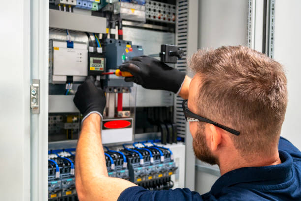 Best Electrician for Home Renovation  in Danville, IA