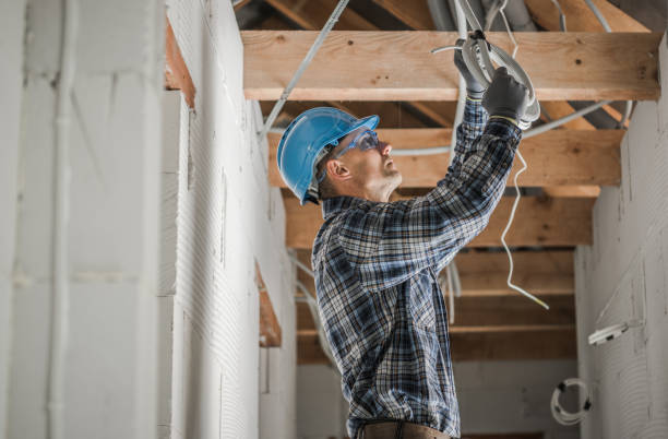 Best Ceiling Fan Installation Electrician  in Danville, IA