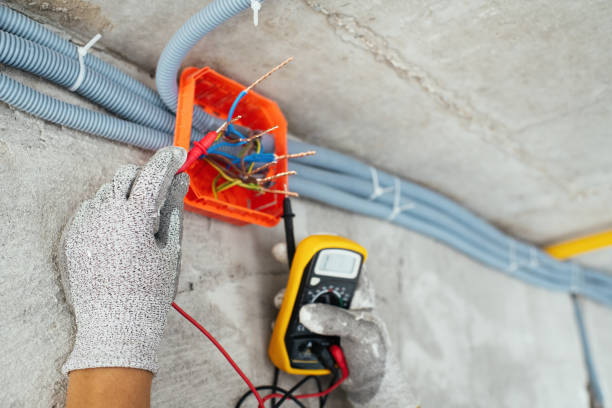 Best Affordable Electrician  in Danville, IA